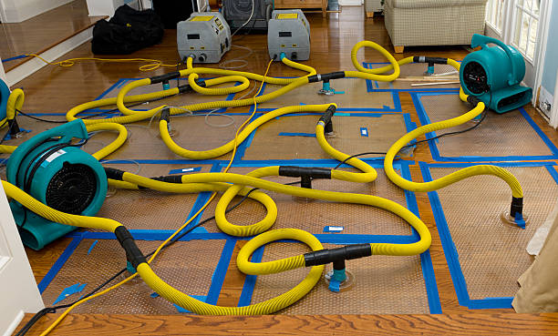 Professional Basement Flood Cleanup technician working in Wild Rose, WI